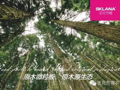 消费者闻“醛”色变 衣柜企业需将“环保”提上